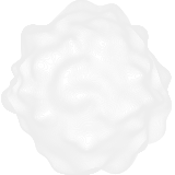 skyneq-mini-vecor-01